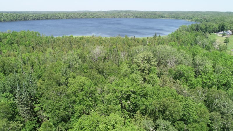 TBD Rush Island Lake Rd, Deer River, MN 56636