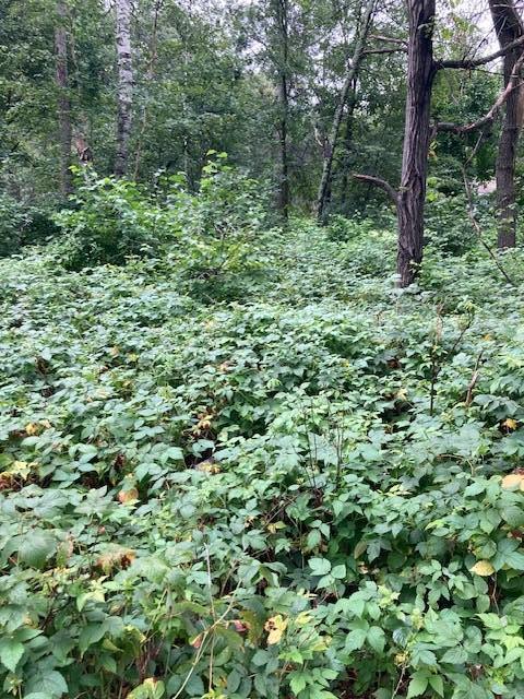 Lot 39 - 40 Owl Cir, Breezy Point, MN 56472
