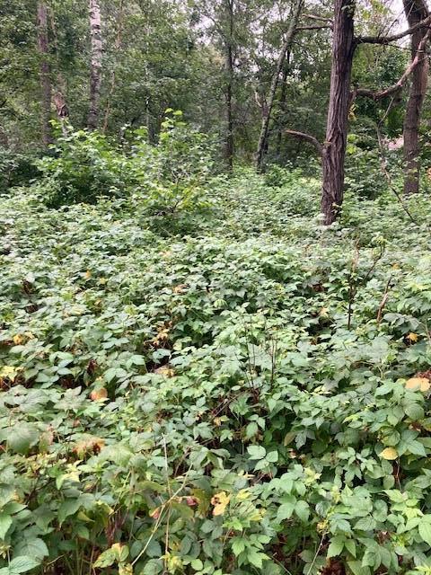 Lot 39 - 40 Owl Cir, Breezy Point, MN 56472