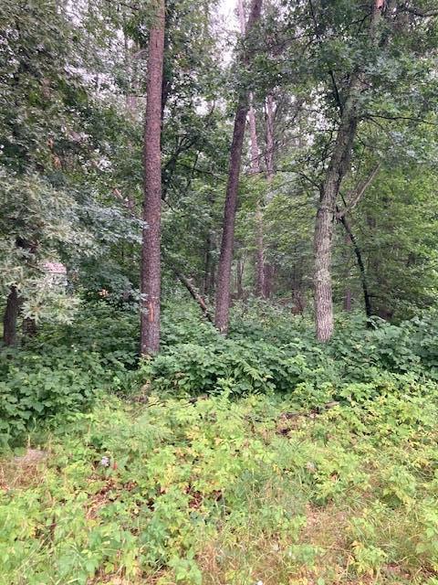 Lot 39 - 40 Owl Cir, Breezy Point, MN 56472