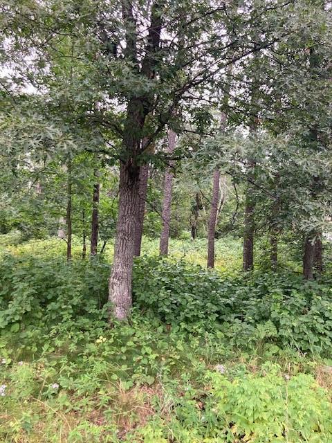 Lot 39 - 40 Owl Cir, Breezy Point, MN 56472