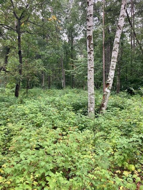 Lot 39 - 40 Owl Cir, Breezy Point, MN 56472