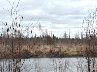 TBD 450th St, Palisade, MN 56469