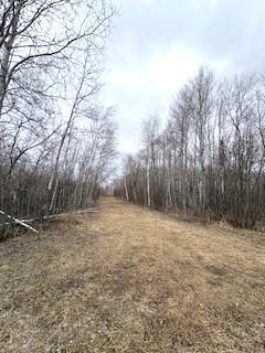 TBD 450th St, Palisade, MN 56469