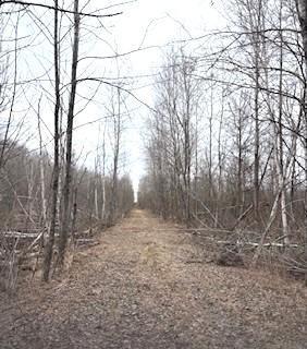 TBD 450th St, Palisade, MN 56469