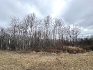 TBD 450th St, Palisade, MN 56469