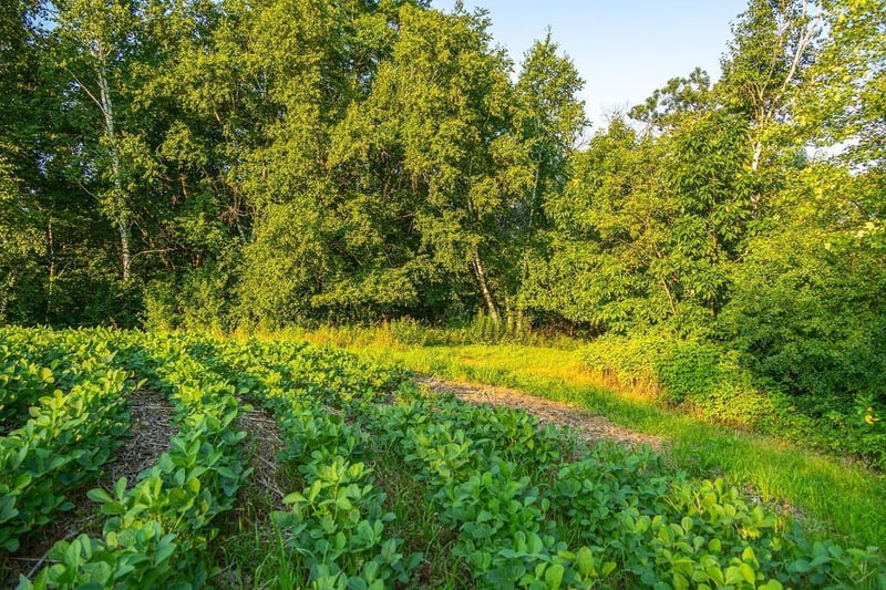 TBD County Road S, Blair, WI 54616