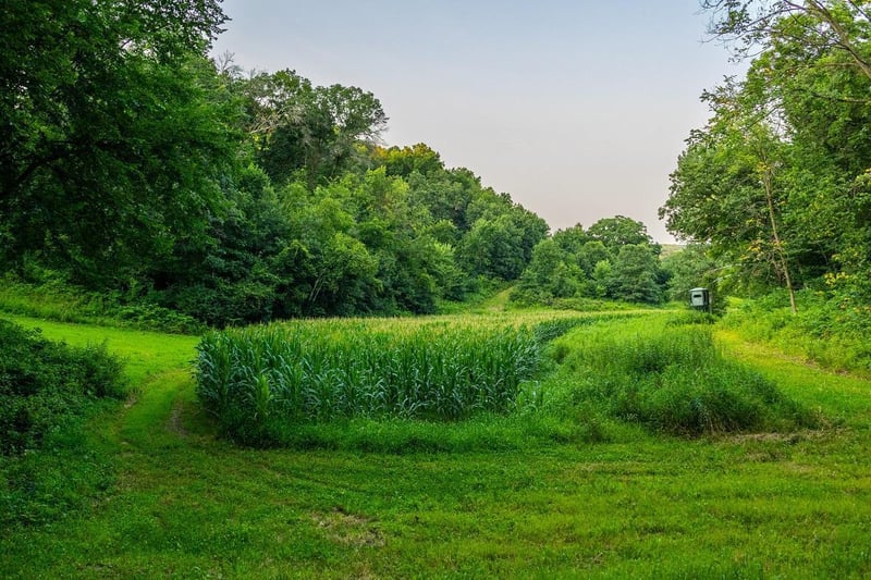TBD County Road S, Blair, WI 54616