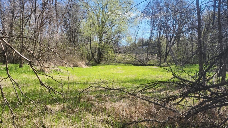 TBD County Road 35, Elk River, MN 55330
