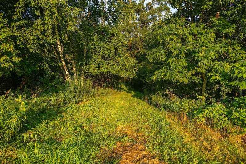 TBD Cty Road S, Blair, WI 54616