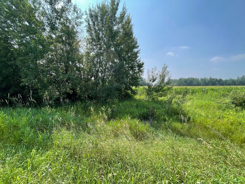 XXX 17th St, Princeton, MN 55371