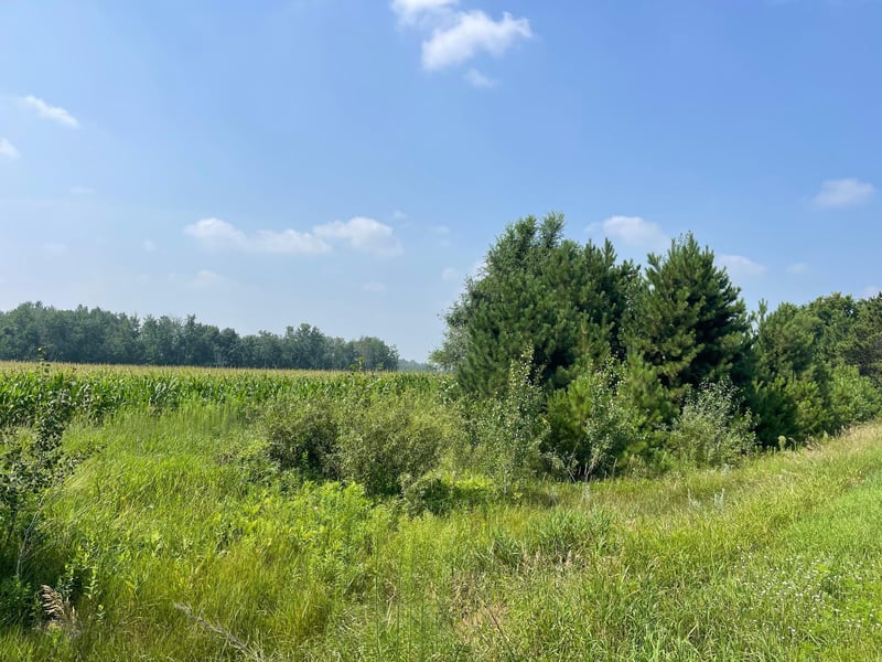 XXX 17th St, Princeton, MN 55371