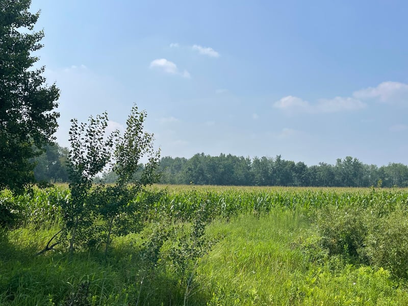 XXX 17th St, Princeton, MN 55371