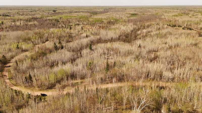 80729 Tamarack Ranch Rd, Sandstone, MN 55072