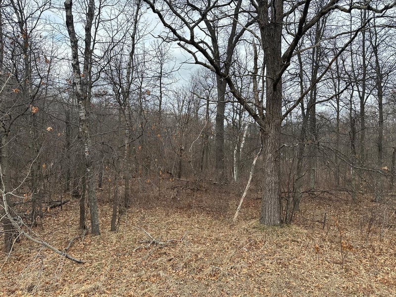 Lot 25 County Rd 11, Breezy Point, MN 56472