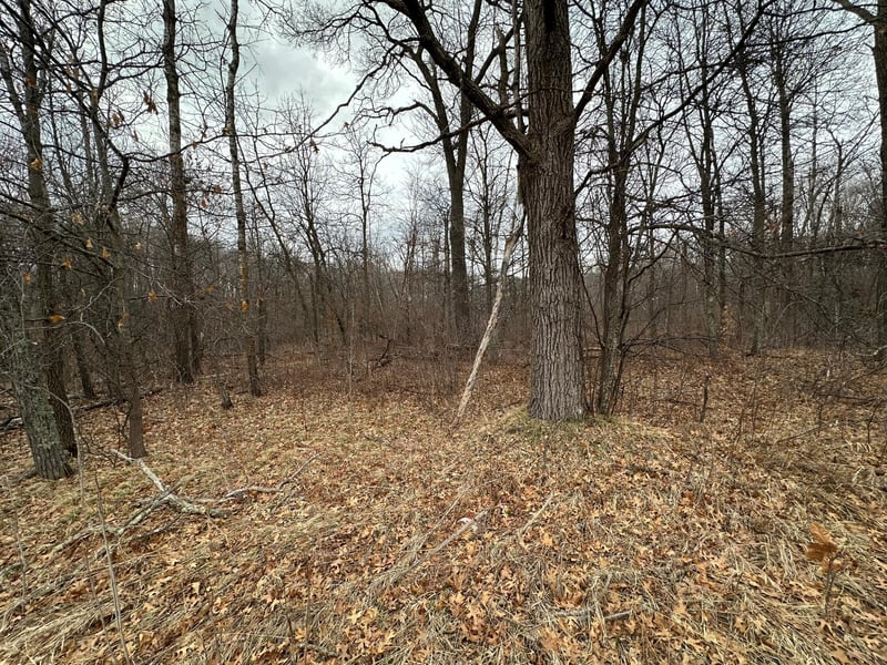 Lot 25 County Rd 11, Breezy Point, MN 56472