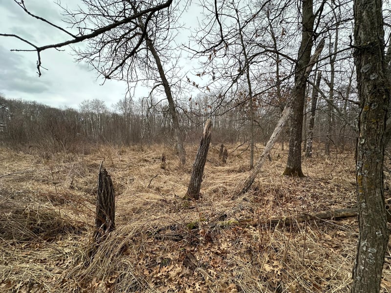 Lot 25 County Rd 11, Breezy Point, MN 56472