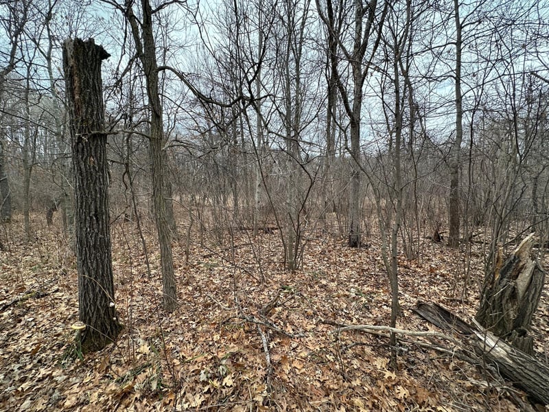 Lot 25 County Rd 11, Breezy Point, MN 56472