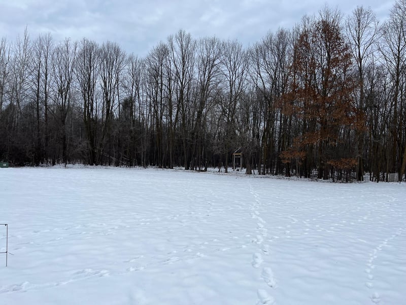 917 Scharbillig Ct, Rice Lake, WI 54868