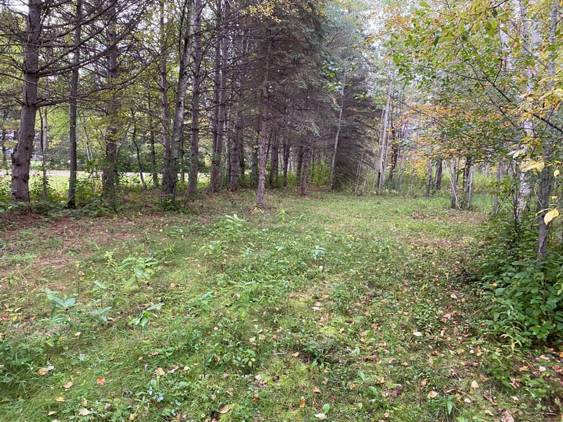 TBD LOT 13 Owl Ave, Aitkin, MN 56431