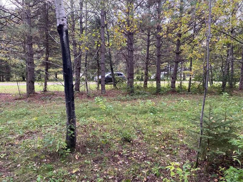 TBD LOT 13 Owl Ave, Aitkin, MN 56431