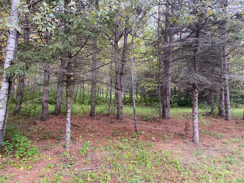 TBD LOT 13 Owl Ave, Aitkin, MN 56431