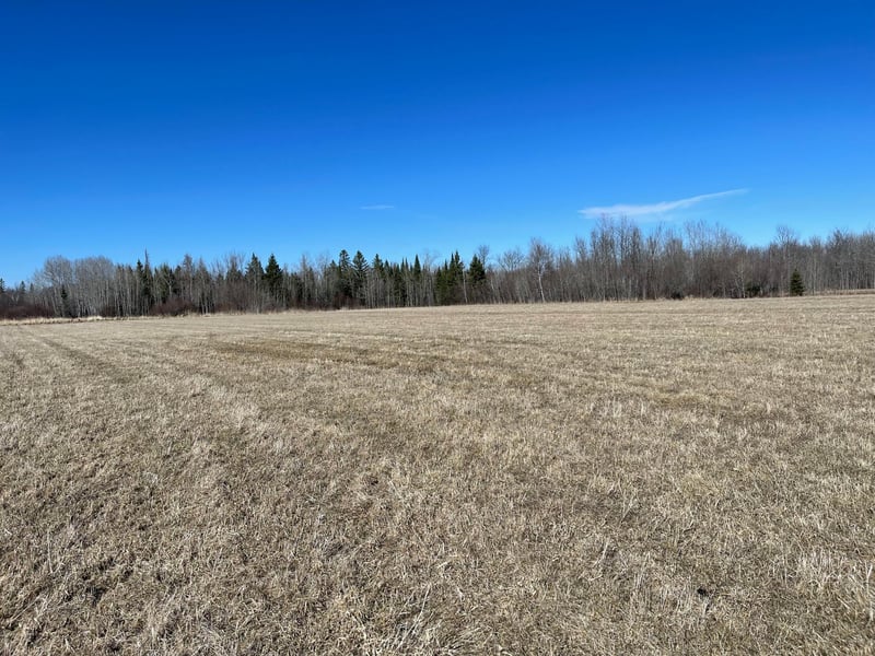 Hwy 133 Hwy # 133, Meadowlands, MN 55765