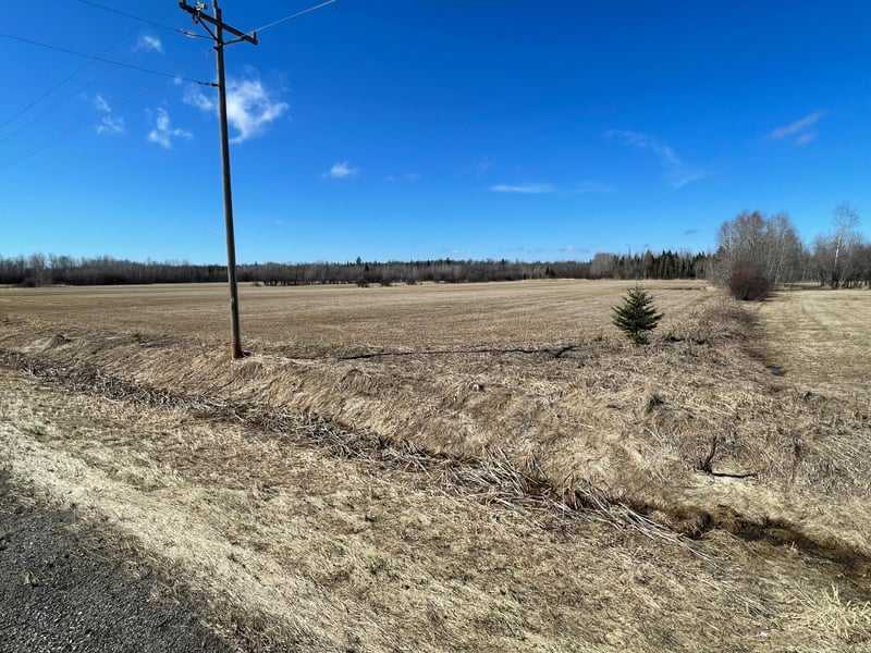 Hwy 133 Hwy # 133, Meadowlands, MN 55765