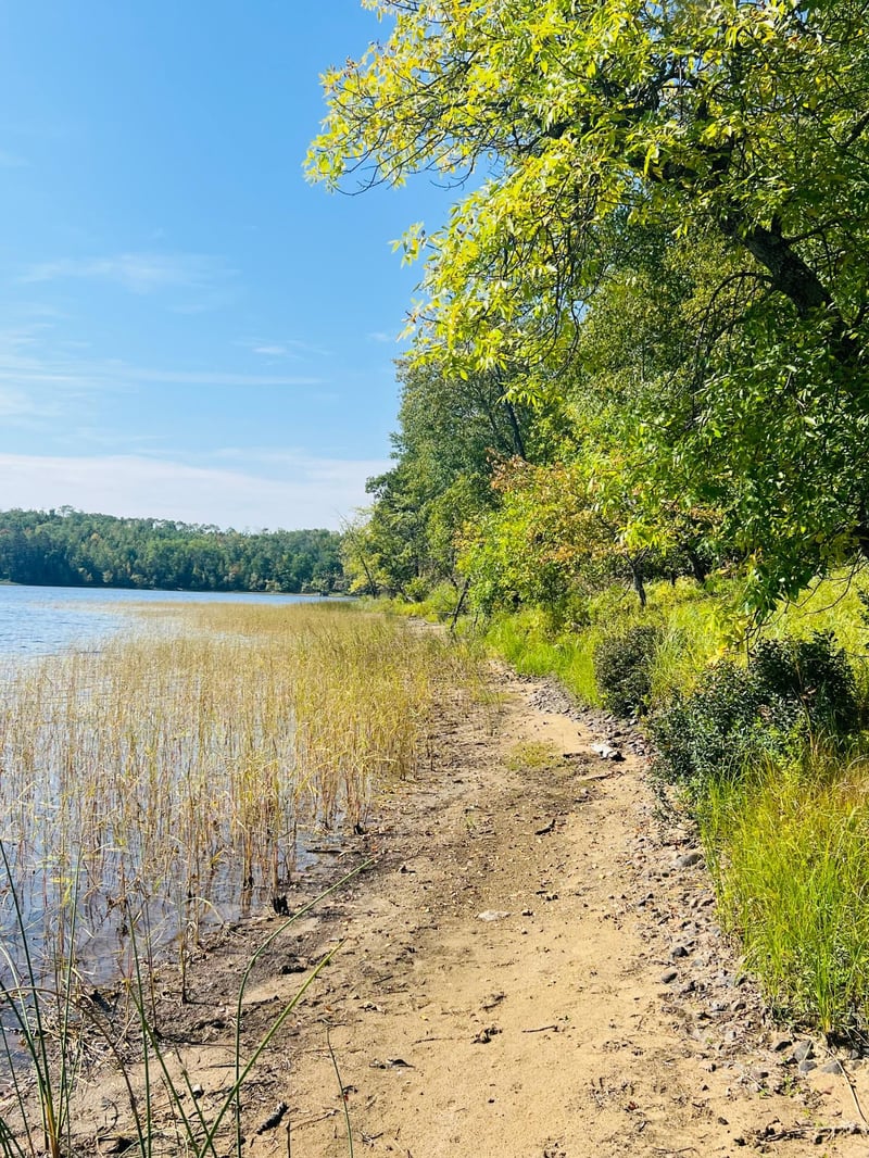 TBD Wolf Creek Rd, Bovey, MN 55709