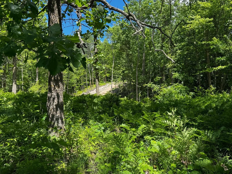 TBD Wolf Creek Rd, Bovey, MN 55709