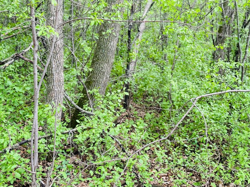 Lot 3 Canterbury Sands Trl, Battle Lake, MN 56515