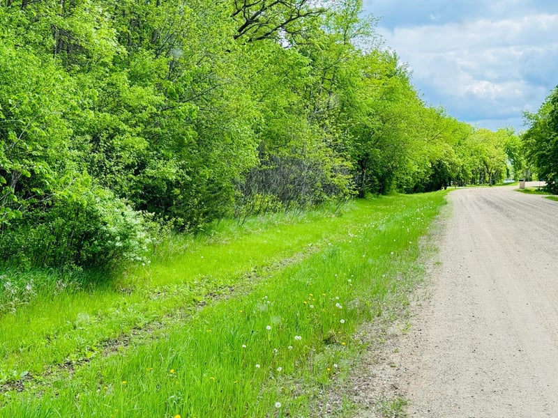 Lot 3 Canterbury Sands Trl, Battle Lake, MN 56515