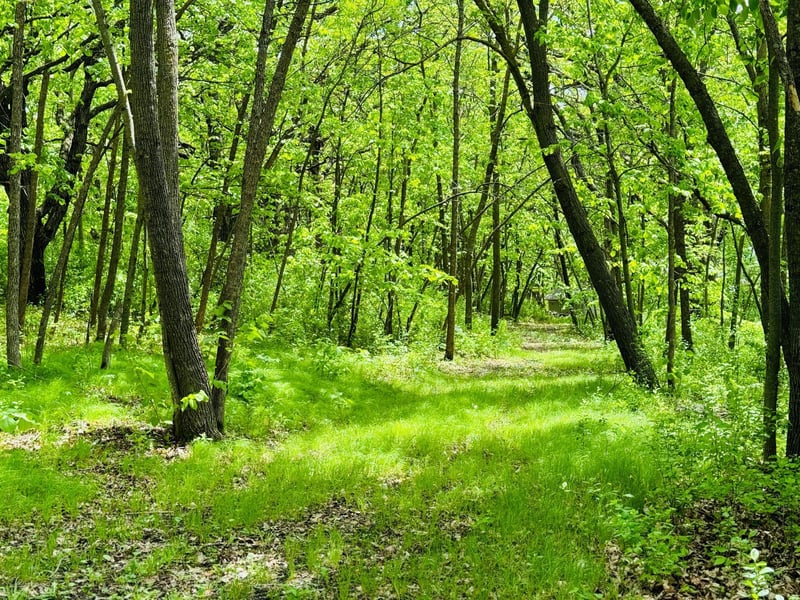 Lot 4 Canterbury Sands Trl, Battle Lake, MN 56515
