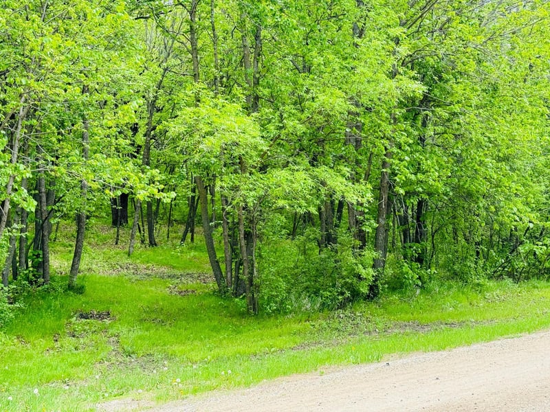 Lot 4 Canterbury Sands Trl, Battle Lake, MN 56515
