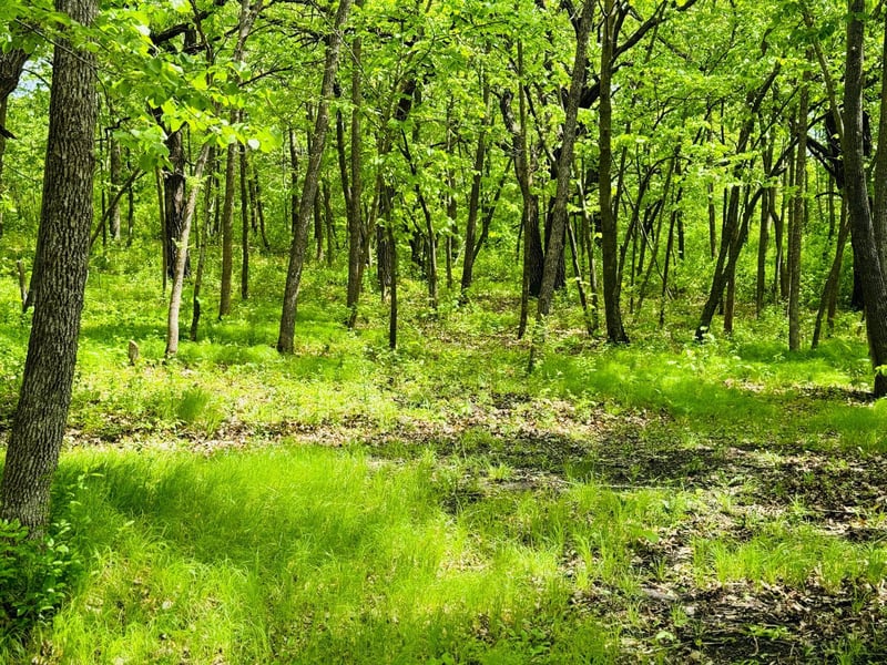 Lot 4 Canterbury Sands Trl, Battle Lake, MN 56515