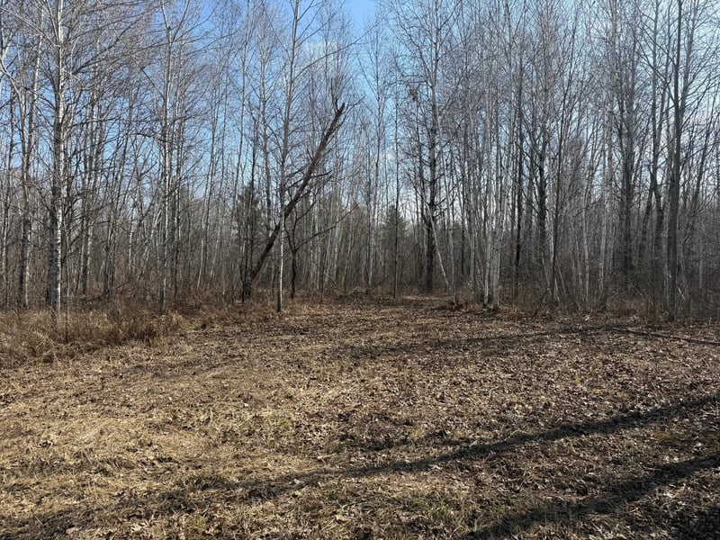 NA Beaver Claw Rd, Brook Park, MN 55007
