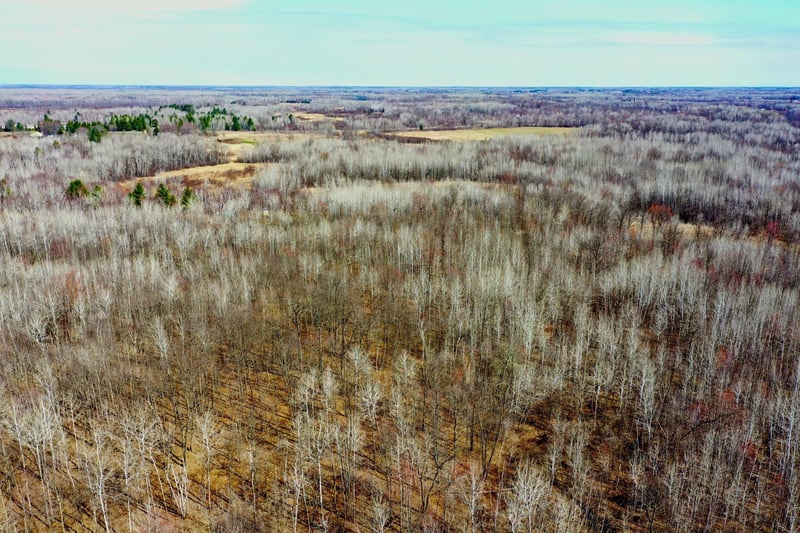 NA Beaver Claw Rd, Brook Park, MN 55007
