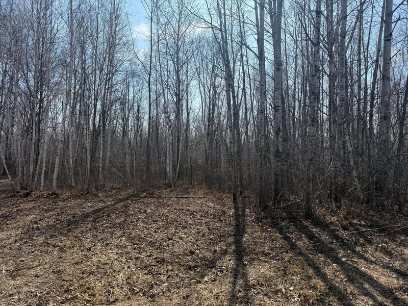 NA Beaver Claw Rd, Brook Park, MN 55007