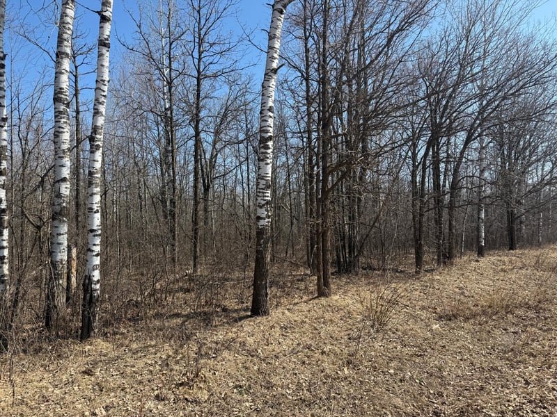 NA Na Mallard Rd, Brook Park, MN 55007