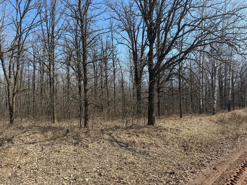 NA Na Mallard Rd, Brook Park, MN 55007
