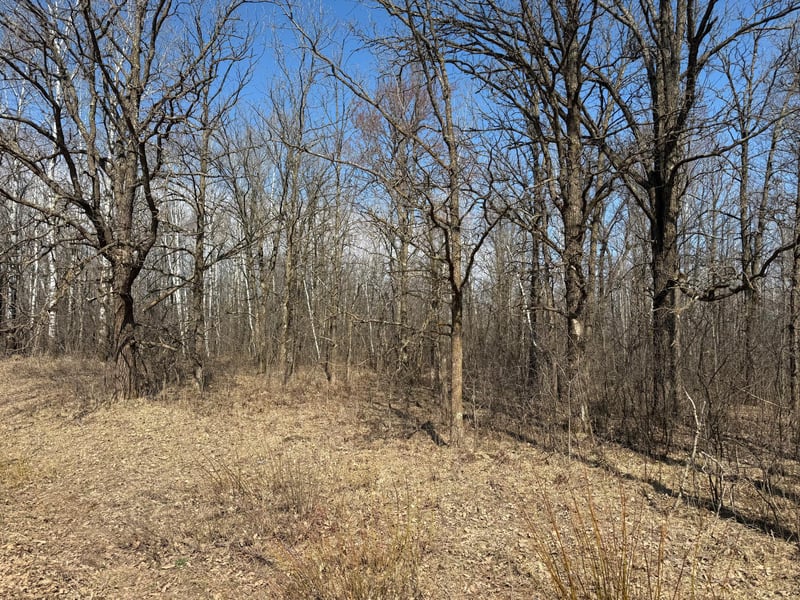 NA Na Mallard Rd, Brook Park, MN 55007