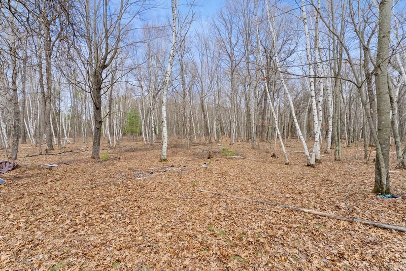 7108 Oakwood Pw, Webster, WI 54893