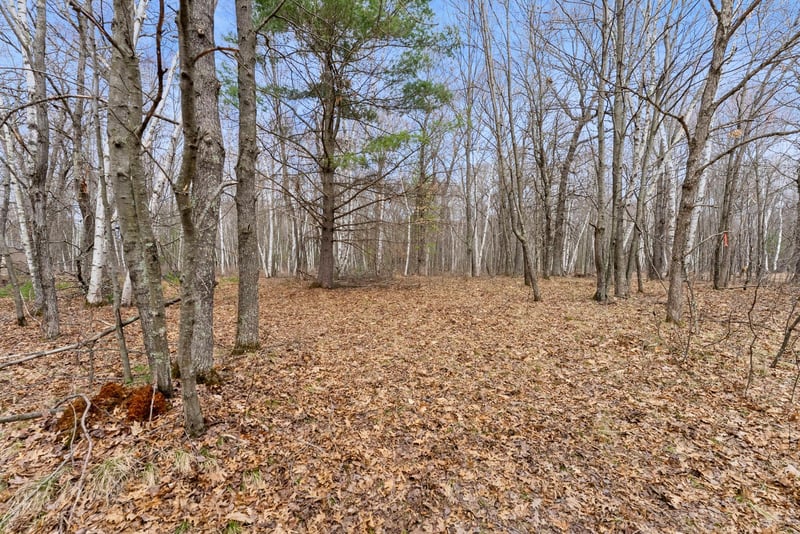 7108 Oakwood Pw, Webster, WI 54893