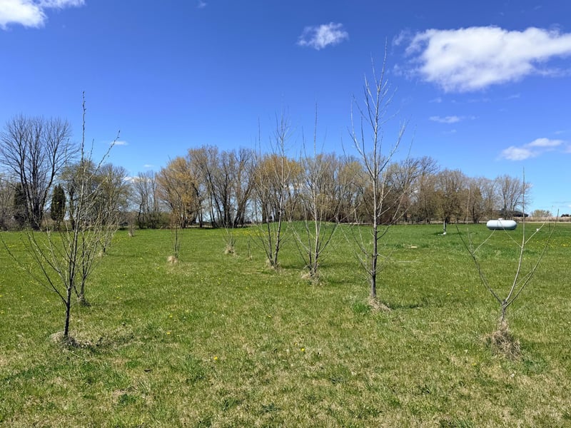 62362 450th St, Sebeka, MN 56477