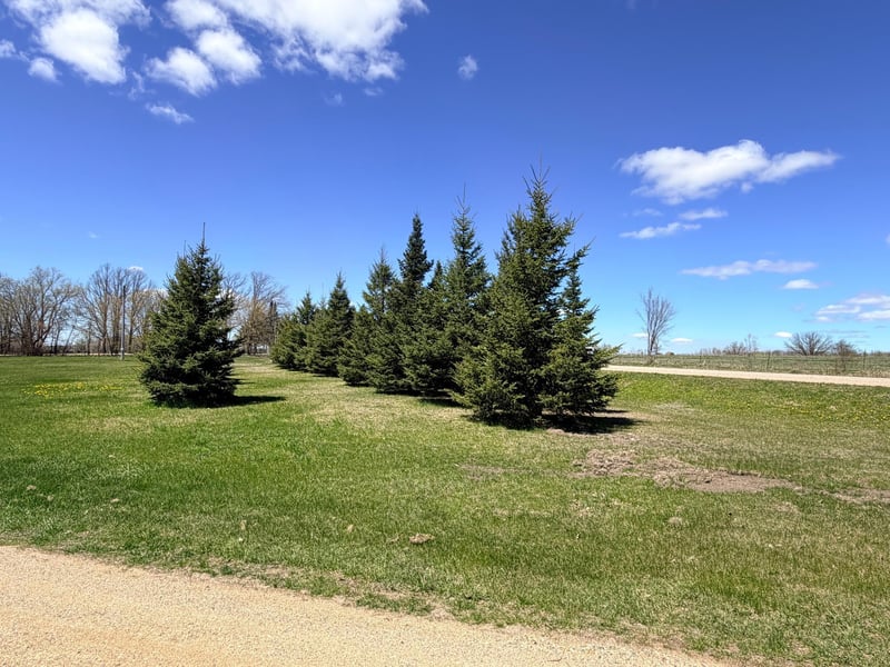 62362 450th St, Sebeka, MN 56477