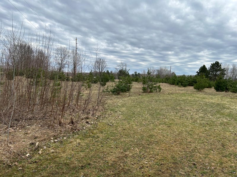 39178 Timber Trail Rd, Onamia, MN 56359