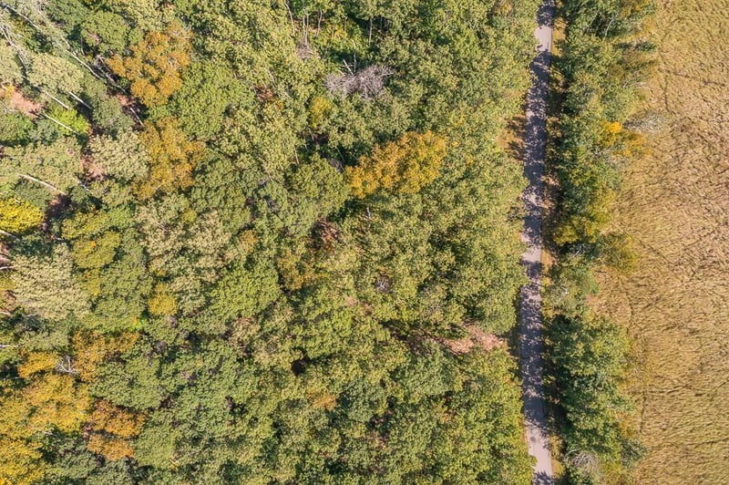 Tract C TBD Little Pine Rd, Brainerd, MN 56401