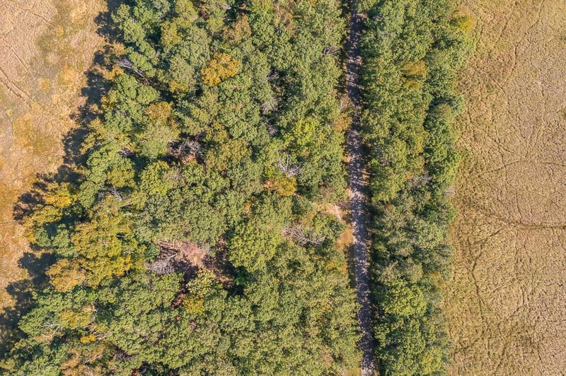 Tract D TBD Little Pine Rd, Brainerd, MN 56401