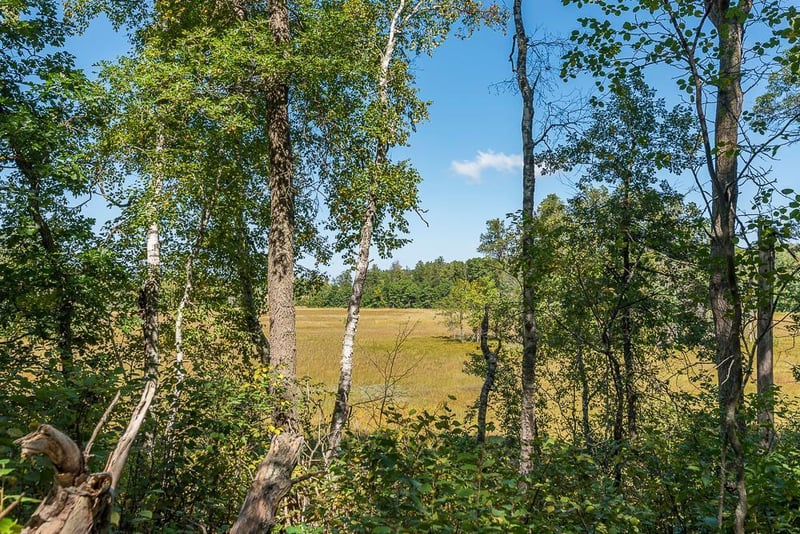 Tract D TBD Little Pine Rd, Brainerd, MN 56401
