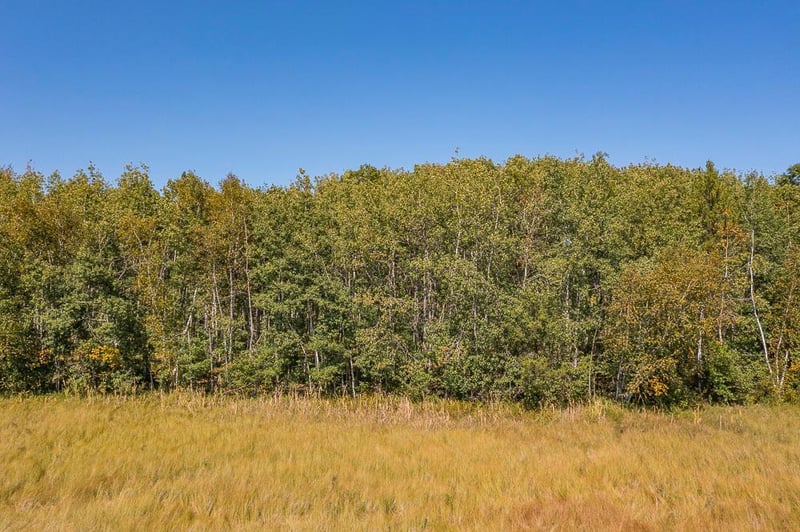 Tract D TBD Little Pine Rd, Brainerd, MN 56401